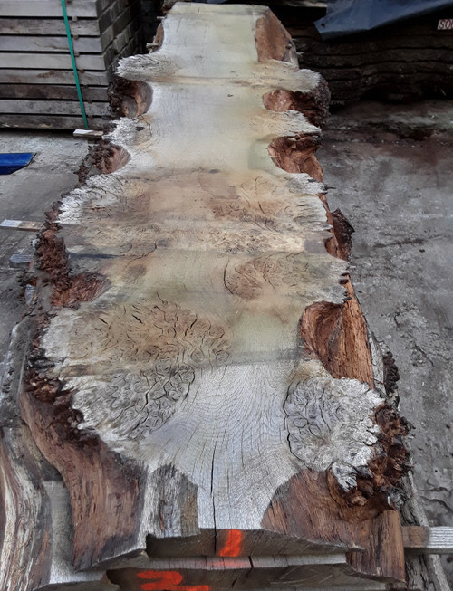 HARDWOOD AIR DRIED SAWN WANEY EDGE / LIVE EDGE TIMBER ENGLISH BURR OAK SLAB / TABLE TOP