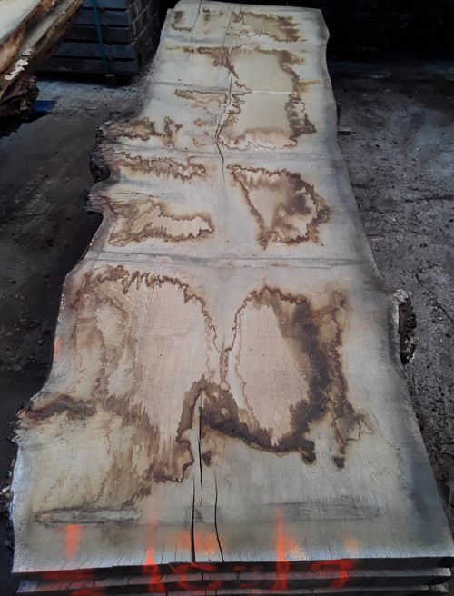 HARDWOOD SAWN AIR DRIED TIMBER WANEY EDGE / LIVE EDGE ENGLISH BURR OAK SLAB / TABLE TOP