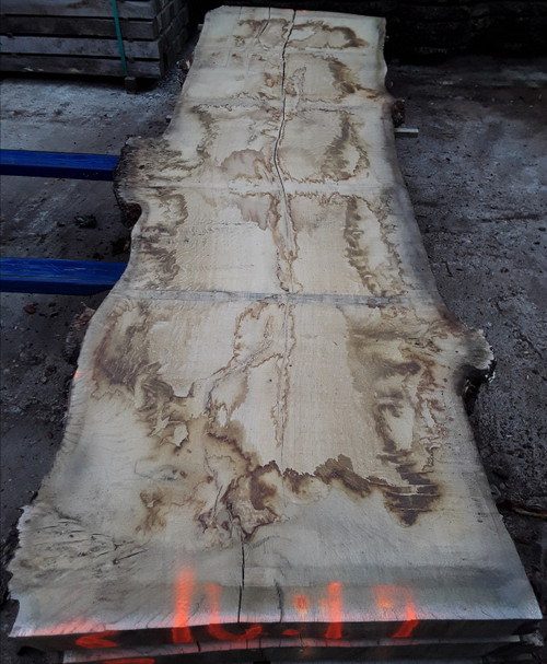 HARDWOOD AIR DRIED TIMBER WANEY EDGE / LIVE EDGE ENGLISH BURR OAK SLAB / TABLE TOP