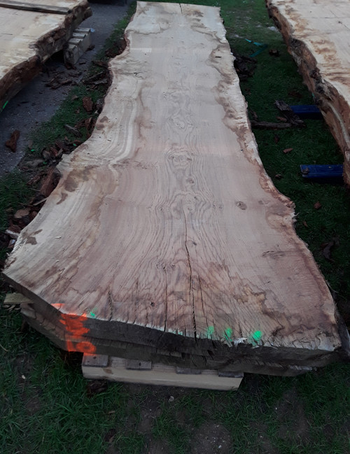 HARDWOOD DRIED TIMBER SAWN WANEY EDGE / LIVE EDGE ENGLISH PIPPY BROWN OAK SLAB / TABLE TOP