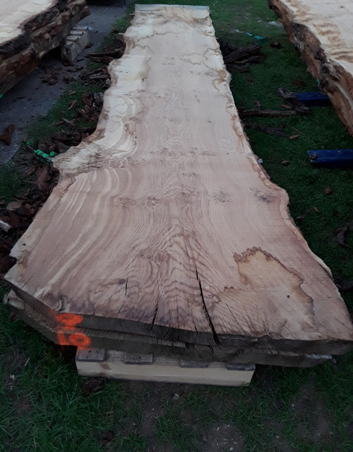 HARDWOOD TIMBER SAWN WANEY EDGE / LIVE EDGE ENGLISH PIPPY BROWN OAK SLAB / TABLE TOP