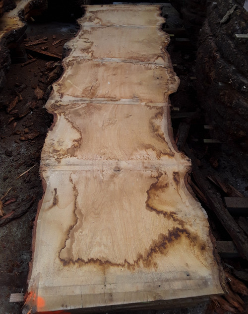 HARDWOOD SAWN AIR DRIED TIMBER PIPPY / BURR WANEY EDGE / LIVE EDGE ENGLISH OAK SLAB / TABLE TOP
