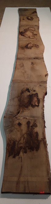 HARDWOOD TIMBER AIR DRIED RUSTIC / CHARACTER WANEY EDGE / LIVE EDGE ENGLISH OAK BOARD OFFCUT