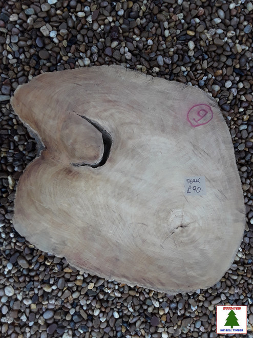 HARDWOOD SAWN KILN DRIED WANEY EDGE / LIVE EDGE BURMESE TEAK LOG SLICE / COOKIE