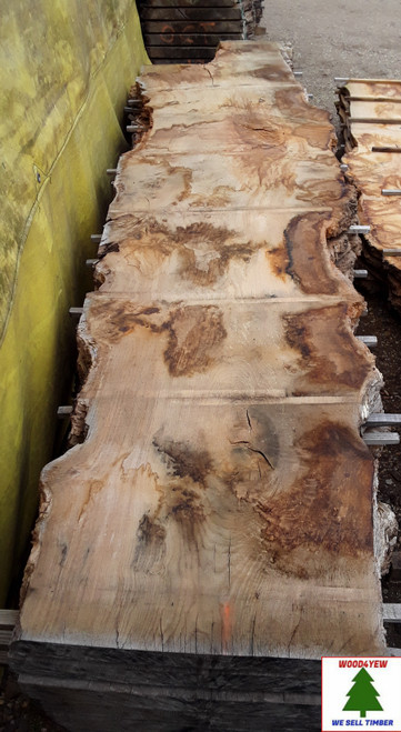 HARDWOOD SAWN DRIED WANEY EDGE / LIVE EDGE TIMBER ENGLISH PIPPY OAK SLAB / TABLE TOP
