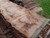 HARDWOOD TIMBER SAWN AIR DRIED WANEY EDGE / LIVE EDGE ENGLISH PIPPY OAK SLAB / BOARD