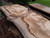 HARDWOOD TIMBER SAWN AIR DRIED WANEY EDGE / LIVE EDGE PIPPY ENGLISH OAK SLAB / BOARD