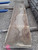 HARDWOOD AIR DRIED TIMBER ENGLISH OAK WANEY EDGE / LIVE EDGE SLAB / TABLE TOP