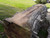 HARDWOOD AIR DRIED SAWN WANEY EDGE / LIVE EDGE TIMBER ENGLISH CHESTNUT SLAB / TABLE TOP