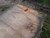 HARDWOOD AIR DRIED WANEY EDGE / LIVE EDGE  ENGLISH CHESTNUT SLAB / TABLE TOP