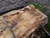 HARDWOOD AIR DRIED WANEY EDGE / LIVE EDGE ENGLISH CHESTNUT SLAB / TABLE TOP