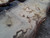HARDWOOD AIR DRIED SAWN TIMBER WANEY EDGE / LIVE EDGE ENGLISH BURR OAK SLAB / TABLE TOP