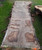 HARDWOOD WANEY EDGE / LIVE EDGE DRIED SAWN TIMBER BURR / PIPPY ENGLISH OAK SLAB / TABLE TOP HARDWOOD WANEY EDGE / LIVE EDGE DRIED SAWN TIMBER BURR / PIPPY ENGLISH OAK SLAB / TABLE TOP
