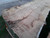 HARDWOOD AIR DRIED WANEY EDGE / LIVE EDGE ENGLISH PIPPY BROWN OAK SLAB / TABLE TOP