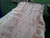 HARDWOOD AIR DRIED WANEY EDGE / LIVE EDGE ENGLISH PIPPY BROWN OAK SLAB / TABLE TOP