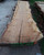 HARDWOOD DRIED TIMBER SAWN WANEY EDGE / LIVE EDGE ENGLISH PIPPY BROWN OAK SLAB / TABLE TOP