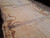 HARDWOOD TIMBER SAWN DRIED PIPPY / BURR WANEY EDGE / LIVE EDGE ENGLISH OAK SLAB / TABLE TOP