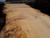 HARDWOOD SAWN DRIED TIMBER PIPPY / BURR WANEY EDGE / LIVE EDGE ENGLISH OAK SLAB / TABLE TOP