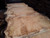 HARDWOOD SAWN AIR DRIED TIMBER PIPPY / BURR WANEY EDGE / LIVE EDGE ENGLISH OAK SLAB / TABLE TOP