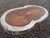 Hardwood Kiln Dried Asian Monkey Pod Waney Edge Log Slice / Cookie