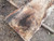 HARDWOOD AIR DRIED SAWN WANEY EDGE / LIVE EDGE TIMBER ENGLISH PIPPY OAK SLAB / TABLE TOP HARDWOOD AIR DRIED SAWN WANEY EDGE / LIVE EDGE TIMBER ENGLISH PIPPY OAK SLAB / TABLE TOP