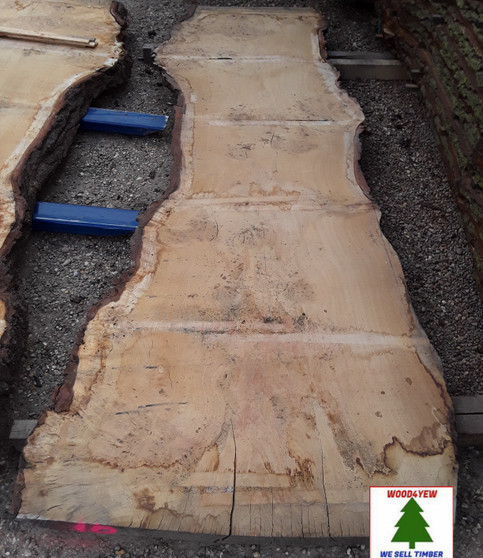 HARDWOOD TIMBER DRIED WANEY EDGE / LIVE EDGE BURR / PIPPY ENGLISH OAK SLAB / TABLE TOP