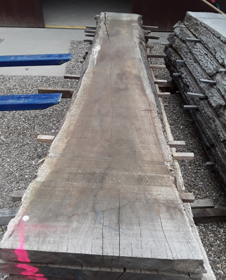 HARDWOOD AIR DRIED SAWN ENGLISH OAK WANEY EDGE / LIVE EDGE SLAB / TABLE TOP
