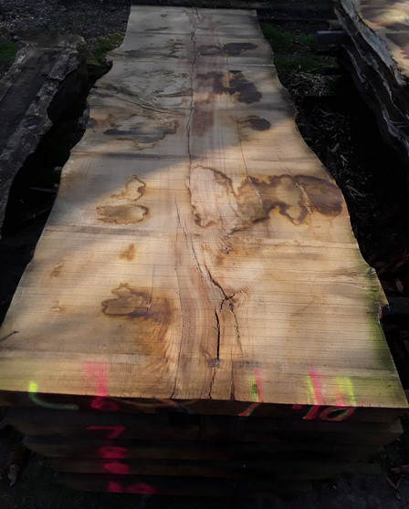 HARDWOOD SAWN DRIED TIMBER WANEY EDGE / LIVE EDGE ENGLISH CHESTNUT SLAB / TABLE TOP