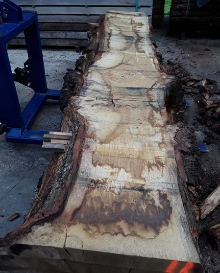HARDWOOD SAWN AIR DRIED WANEY EDGE / LIVE EDGE ENGLISH BURR OAK SLAB / TABLE TOP
