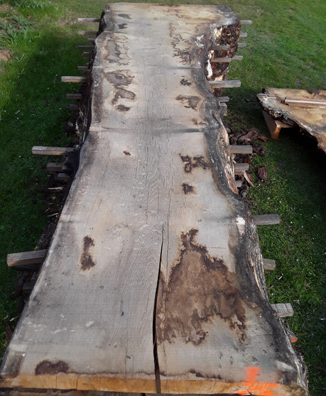 HARDWOOD WANEY EDGE / LIVE EDGE AIR DRIED SAWN BURR / PIPPY OAK SLAB / TABLE TOP