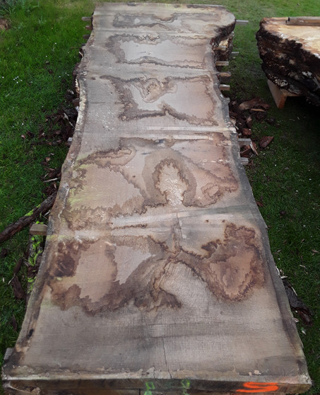 HARDWOOD WANEY EDGE / LIVE EDGE DRIED SAWN AIR DRIED TIMBER BURR / PIPPY ENGLISH OAK SLAB / TABLE TOP