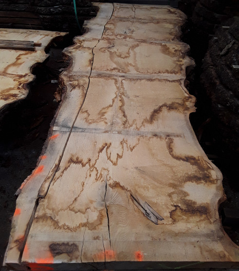 HARDWOOD TIMBER SAWN AIR DRIED PIPPY / BURR WANEY EDGE / LIVE EDGE ENGLISH OAK SLAB / TABLE TOP