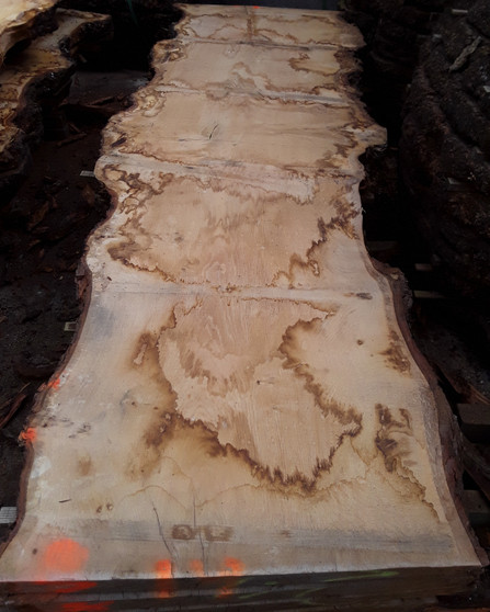 HARDWOOD SAWN DRIED PIPPY / BURR WANEY EDGE / LIVE EDGE ENGLISH OAK SLAB / TABLE TOP