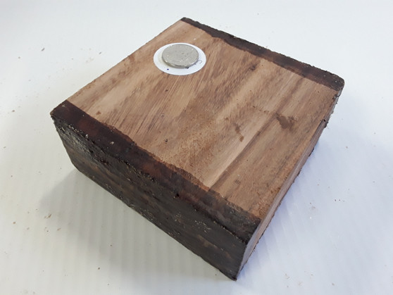 HARDWOOD KILN DRIED TIMBER AFRICAN TANGA TANGA WOODTURNING BLANK / SQUARE * RARE *