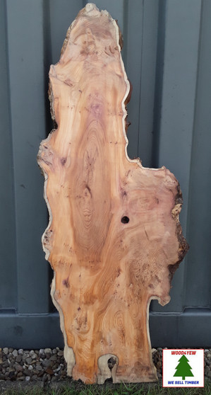 AIR DRIED SAWN CHARACTER WANEY EDGE / LIVE EDGE PIPPY YEW BOARD / PLANK OFFCUT