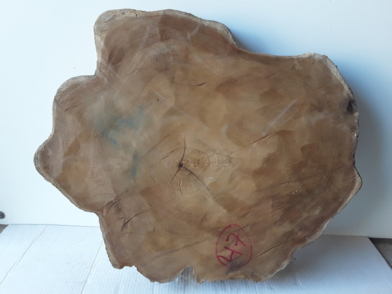 HARDWOOD KILN DRIED WANEY EDGE / LIVE EDGE BURMESE TEAK LOG SLICE / COOKIE