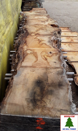 HARDWOOD DRIED SAWN WANEY EDGE / LIVE EDGE TIMBER ENGLISH PIPPY OAK SLAB / TABLE TOP