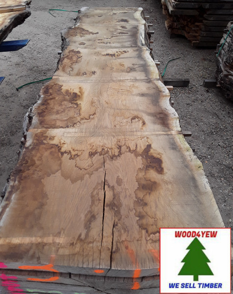 HARDWOOD DRIED TIMBER SAWN WANEY EDGE / LIVE EDGE PIPPY ENGLISH OAK SLAB / TABLE TOP