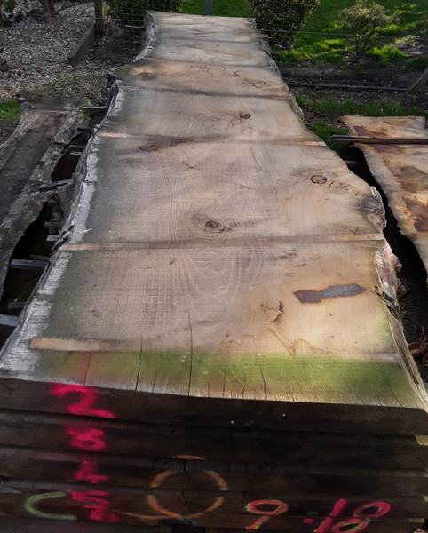 HARDWOOD AIR DRIED SAWN WANEY EDGE / LIVE EDGE  ENGLISH CHESTNUT SLAB / TABLE TOP