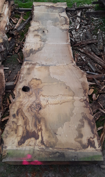 HARDWOOD AIR DRIED TIMBER SAWN WANEY EDGE / LIVE EDGE ENGLISH CHESTNUT SLAB / TABLE TOP
