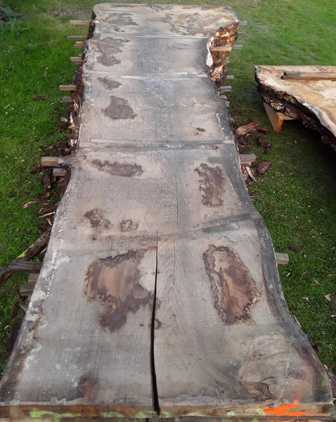 HARDWOOD WANEY EDGE / LIVE EDGE AIR DRIED SAWN TIMBER BURR / PIPPY ENGLISH OAK SLAB / TABLE TOP
