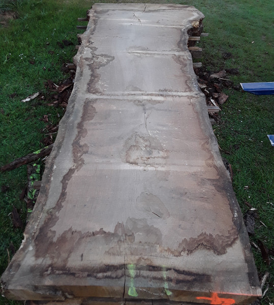 HARDWOOD WANEY EDGE / LIVE EDGE DRIED SAWN AIR DRIED BURR / PIPPY ENGLISH OAK SLAB / TABLE TOP