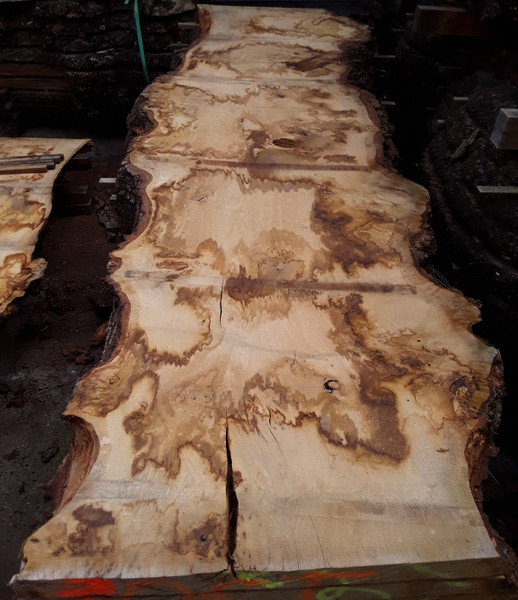 HARDWOOD TIMBER AIR DRIED SAWN PIPPY / BURR WANEY EDGE / LIVE EDGE ENGLISH OAK SLAB / TABLE TOP