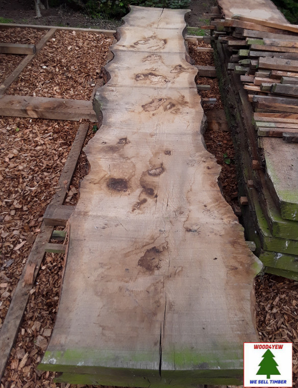 HARDWOOD TIMBER AIR DRIED WANEY EDGE / LIVE EDGE PIPPY ENGLISH OAK SLAB / BOARD