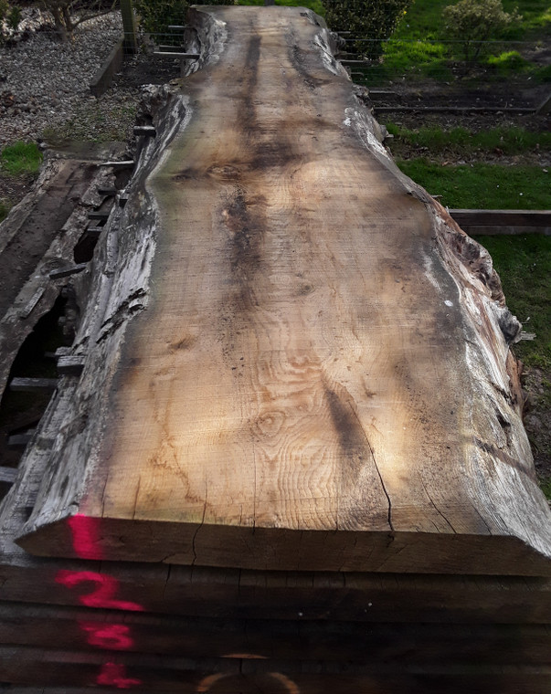 HARDWOOD AIR DRIED SAWN WANEY EDGE / LIVE EDGE TIMBER ENGLISH CHESTNUT SLAB / TABLE TOP