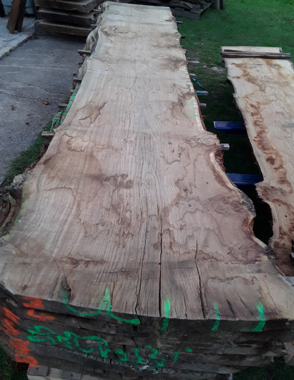 HARDWOOD DRIED WANEY EDGE / LIVE EDGE ENGLISH PIPPY BROWN OAK SLAB / TABLE TOP