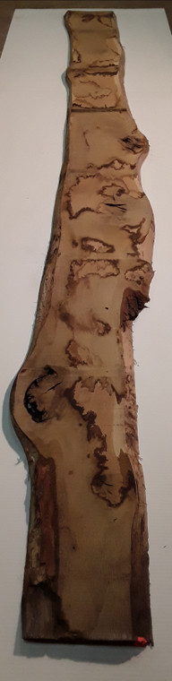 HARDWOOD TIMBER DRIED SAWN RUSTIC / CHARACTER WANEY EDGE / LIVE EDGE ENGLISH OAK BOARD OFFCUT