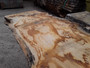 HARDWOOD AIR DRIED SAWN WANEY EDGE / LIVE EDGE PIPPY ENGLISH OAK SLAB / TABLE TOP