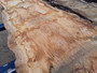 HARDWOOD AIR DRIED SAWN WANEY EDGE / LIVE EDGE PIPPY ENGLISH OAK SLAB / TABLE TOP