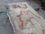 HARDWOOD AIR DRIED TIMBER WANEY EDGE / LIVE EDGE ENGLISH PIPPY OAK SLAB / TABLE TOP